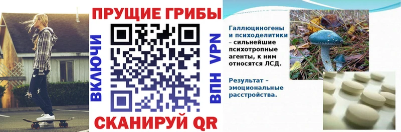 Галлюциногенные грибы прущие грибы Новомичуринск